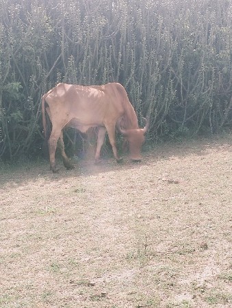 ગામ જસદણ જીલ્લો રાજકોટ