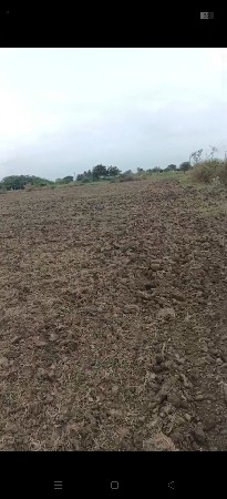 10 વિધા જમીન  વેચવાની છે