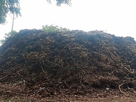 ખાતર વેસવાનુ છે