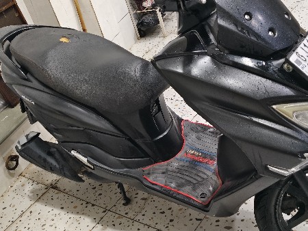 Burgman