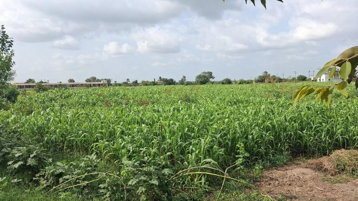 ઉધડો