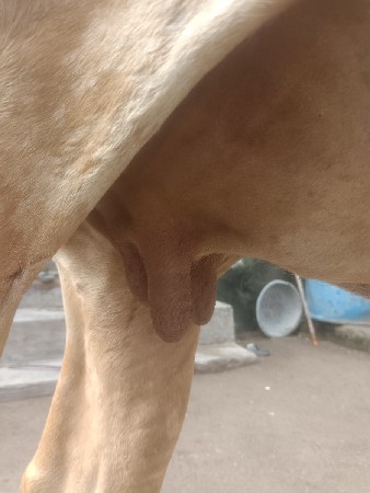 3 વરસ ની