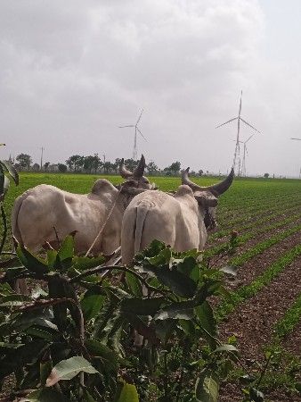 એકવા વણી હાકેલ બધે ફુલ ચાલે