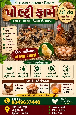દેશી ઈંડા મળી જશે