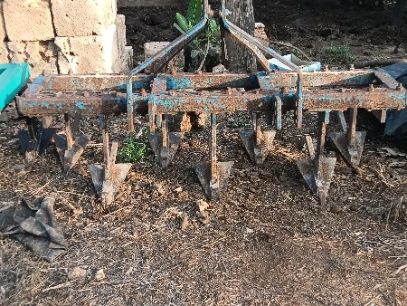 દાતી વેસવાની સે