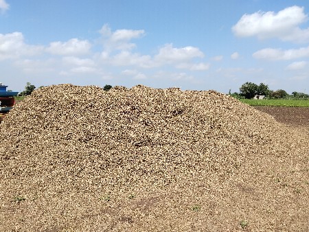 37 નંબર માંડવી નો ભૂકો વેચવાનો છે