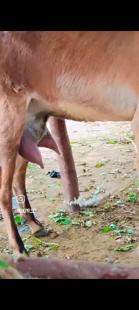 પોરબંદર જિલ્લો