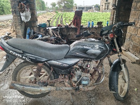 સાલુ કડીસન