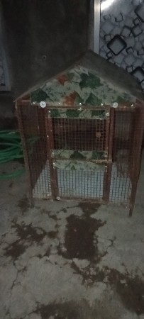 પીંજરું