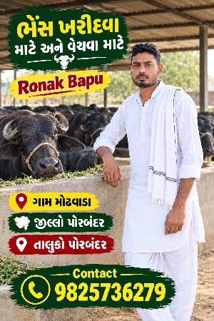 bhesh kharidva mate