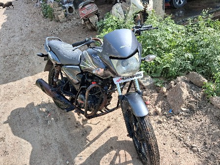 shaine vesvani se