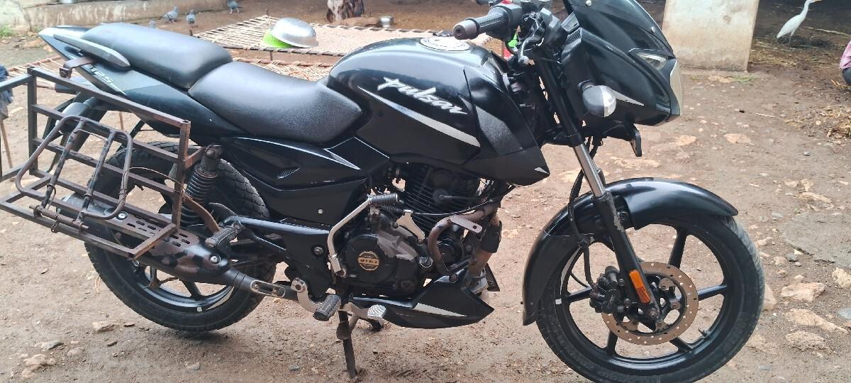 palsar 125 cc