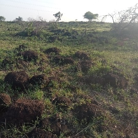 જમિનવેચવાનીષે