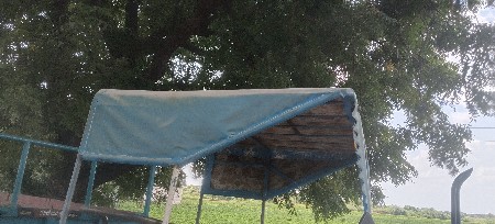 સારી એવી કડિસન
