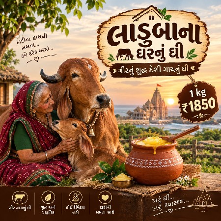 દેશી ગાયનું શુદ્ધ ઘી