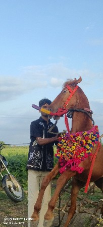 લેવાને છે