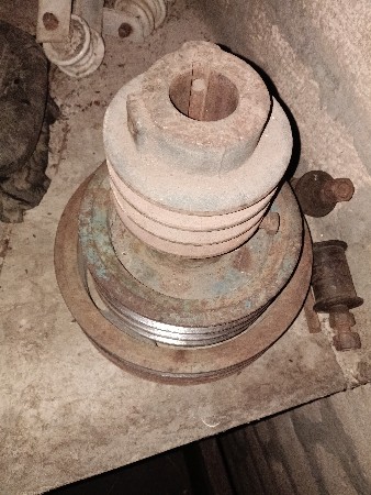 ત્રણ ફૂલી છે