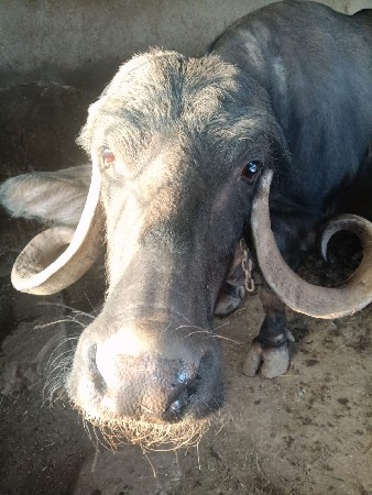 આ નંબર 7359392975
