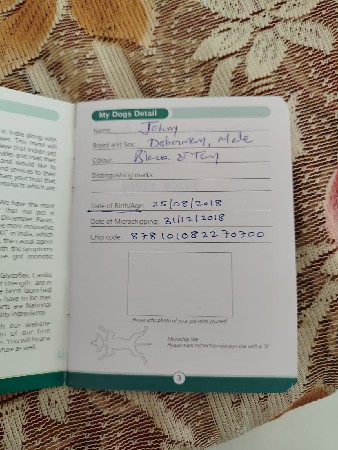 ડોગ વેસવાનો છે