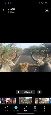4 ઘરના છે