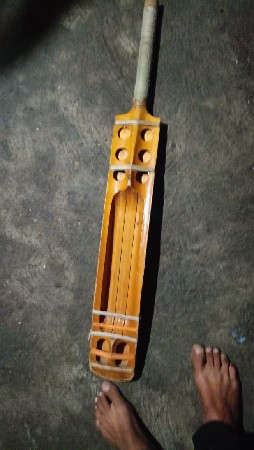 cricket bat