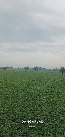 જમીન લેવા માટે કોલ કરો