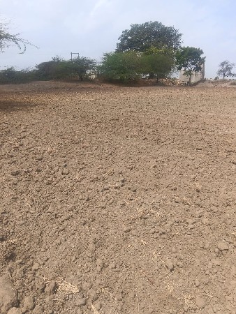 ચાર વિઘા જમીન વેચવાની છે
