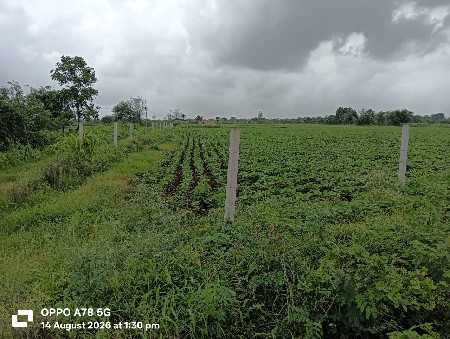 જમીન