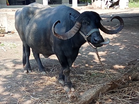 5 મહીનોહાલે બીજું વેતર છે એકને