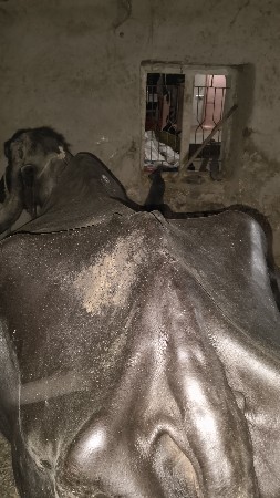ભેસ વેસવાની  સે