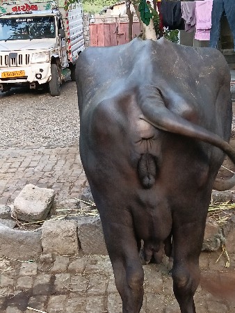 વેચવાની છે