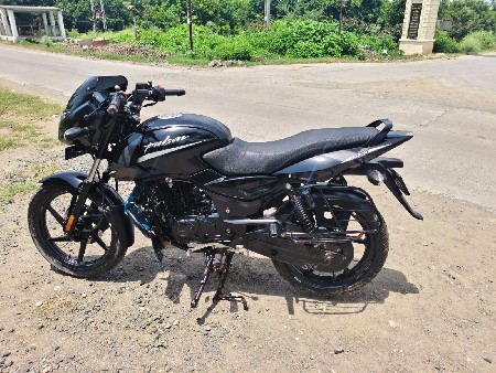 Pulsar 2023 નું મોડલ