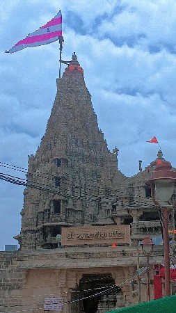 જાફરાબાદી ભેંસ લેવાની છે