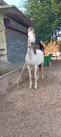 સાતા કરવાના છે
