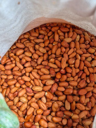 ઓરામા માંડવી દેવાનીછે