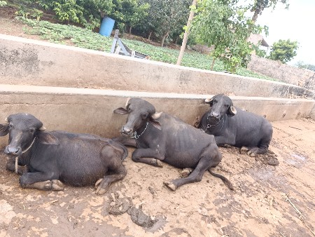 ત્રણ ગાળેલા 1વર્ષ2વર્ષ3વર્ષ