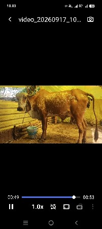 વેચવાની છે