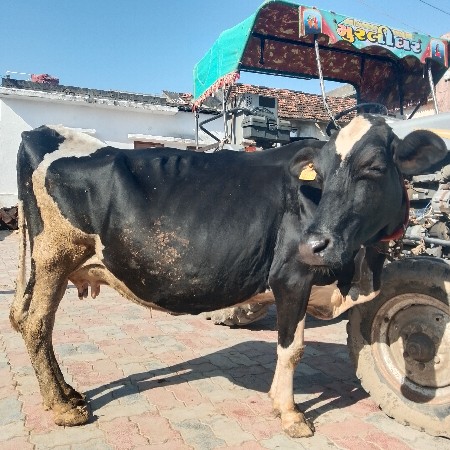 એ સ બ વેચવાની છે