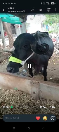 બીજું વેધર