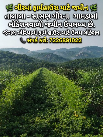જમીન લેવા માટે કોન્ટેક્ટ કરો