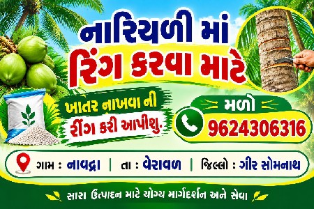 રીંગ