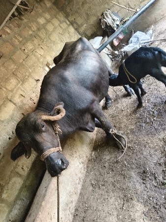 બીજુ વેતર પારુ ઉપરછે ખોટા ફોન નોકરવ