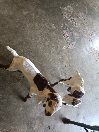 3દીવસનાસે