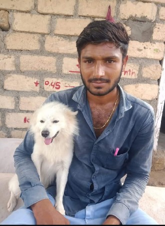 જુલી ફ્રી માં આપી દેવાની છે