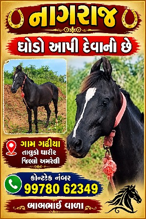 ઘોડો વેચવાનો છે