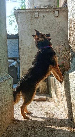 મીટીંગ માટે
