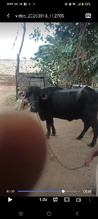aa bhes vesvani se