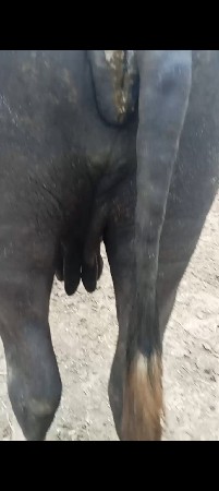 25 દિવસ ની વાર સે