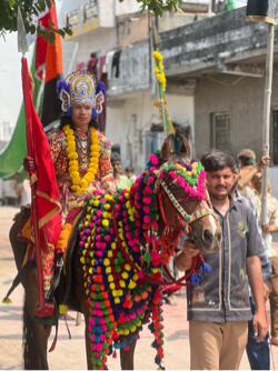ઘોડી