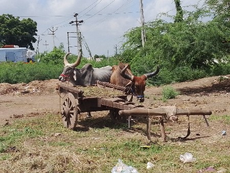 વેચવાના હકાભાઇ લતીપુર ગામ જોવા મળશે